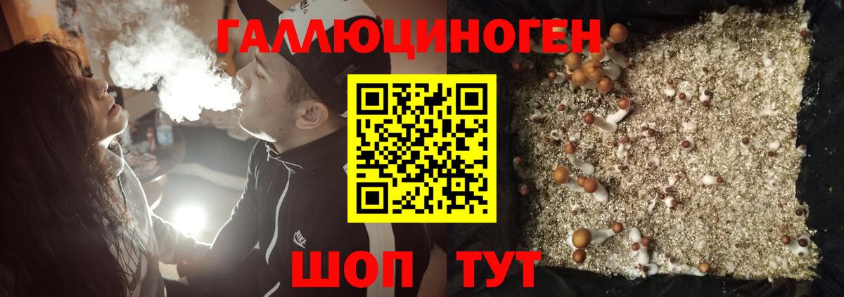 Псилоцибиновые грибы прущие грибы Кумертау