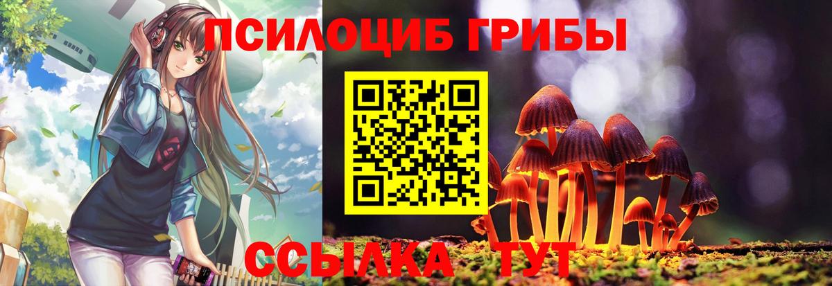 Псилоцибиновые грибы прущие грибы  Вход с VPN  Кумертау  Галлюциногенные грибы мицелий 